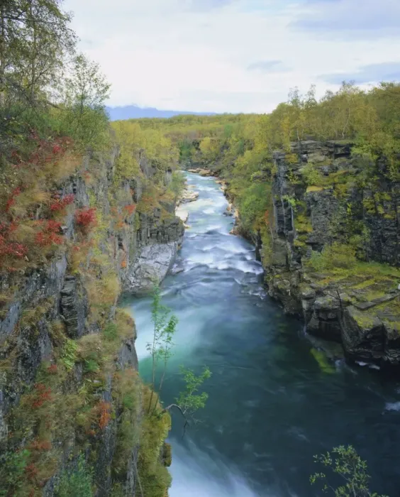 Framed Print : Abisko River Gorge Framed Print : Abisko River Gorge