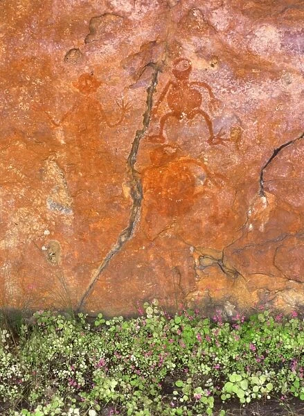 Aboriginal painted figures with flowers below rock after rain, near King Edward River