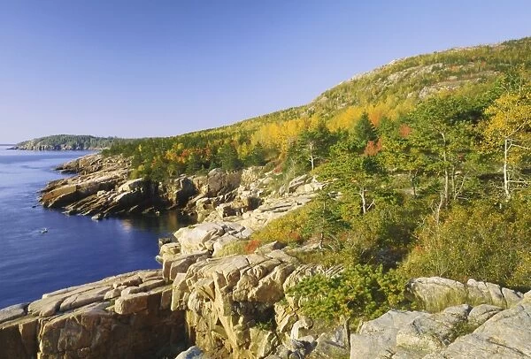 Acadia national park coastline