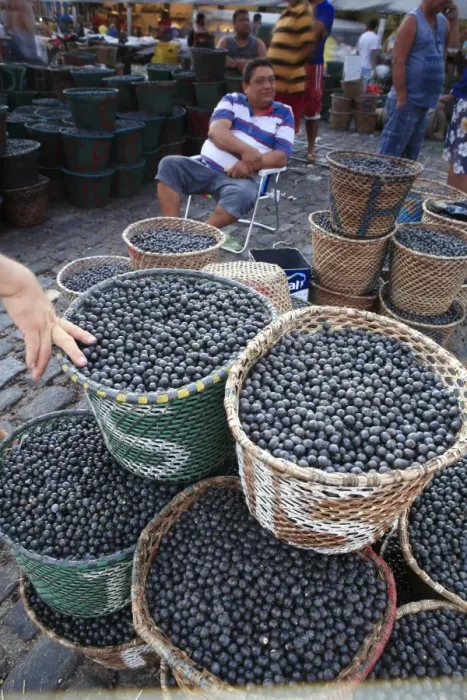 Framed Print : Acai berries for sale in the morning market, Belem, Para, Brazil, South America Framed Print : Acai berries for sale in the morning market, Belem, Para, Brazil, South America
