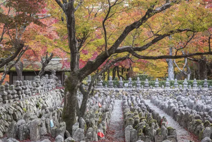 Framed Print : Adashino Nenbutsu-Ji Temple, dedicated to the souls who have died without families Framed Print : Adashino Nenbutsu-Ji Temple, dedicated to the souls who have died without families