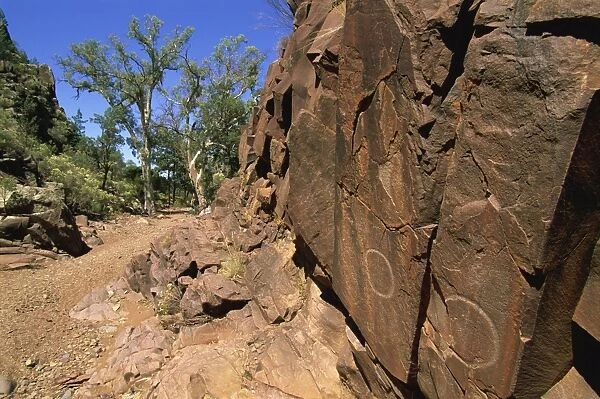 Adnjamathanha Aboriginal engravings, Sacred Canyon, Flinders Range, South Australia