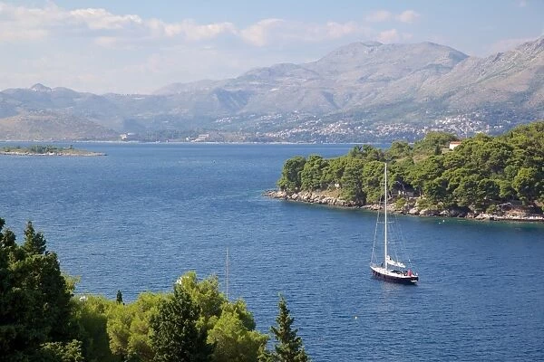 Adriatic coastline, Cavtat, Dubrovnik Riviera, Dalmatian Coast, Dalmatia, Croatia, Europe