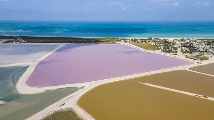 Framed Print : Aerial of the colourful salinas of Las Coloradas, Yucatan, Mexico, North America Framed Print : Aerial of the colourful salinas of Las Coloradas, Yucatan, Mexico, North America