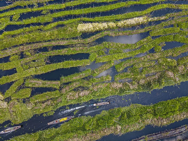 Aerial by drone of the floating gardens, Inle Lake, Shan state, Myanmar (Burma), Asia
