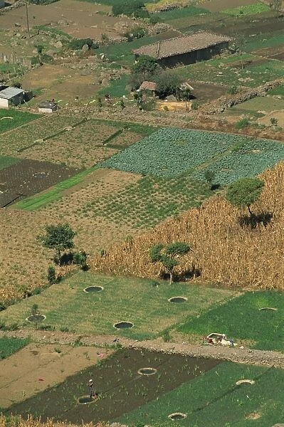 Aerial of fields and small holdings of vegetables