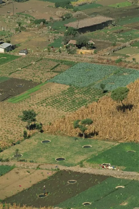 Framed Print : Aerial of fields and small holdings of vegetables Framed Print : Aerial of fields and small holdings of vegetables
