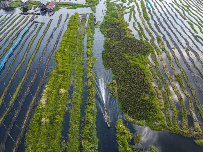 Framed Print : Aerial of the floating gardens, Inle Lake, Shan state, Myanmar (Burma), Asia