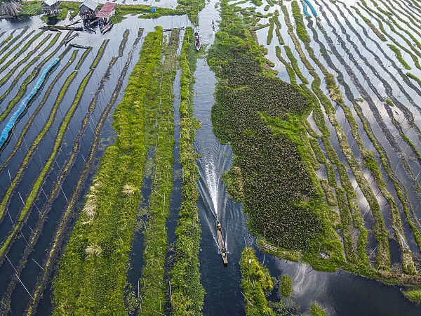 Aerial of the floating gardens, Inle Lake, Shan state, Myanmar (Burma), Asia