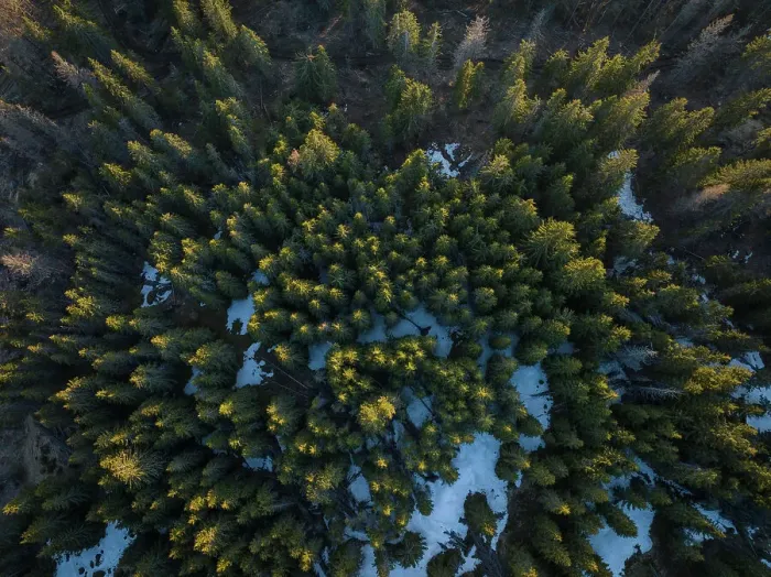 Framed Print : Aerial of forest landscape near Nucsoara, Arges County, Muntenia, Romania, Europe Framed Print : Aerial of forest landscape near Nucsoara, Arges County, Muntenia, Romania, Europe