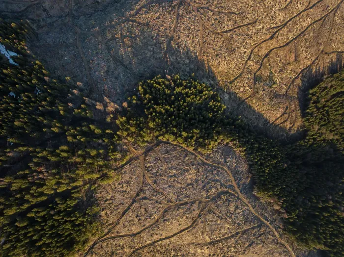 Framed Print : Aerial of forest landscape near Nucsoara, Arges County, Muntenia, Romania, Europe Framed Print : Aerial of forest landscape near Nucsoara, Arges County, Muntenia, Romania, Europe