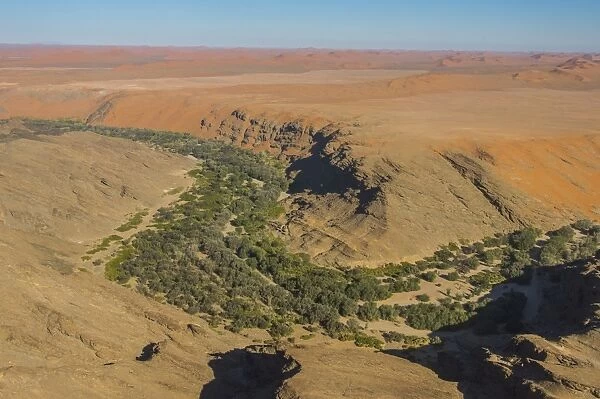 Aerial of a green canyon on the edge of the Namib desert, Namibia, Africa