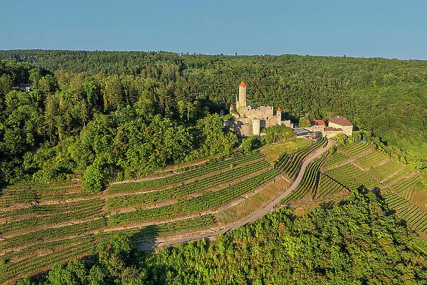 Aerial of Hornberg Castle, Neckarzimmern, Neckartal Valley, Odenwald, Burgenstrasse, Baden-Wurttemberg, Germany, Europe