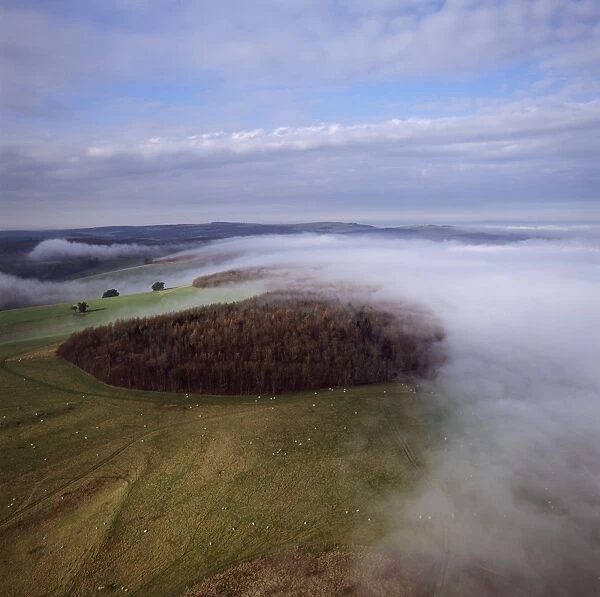 Aerial image of Arundel Park near Arundel Castle, South Downs, West Sussex