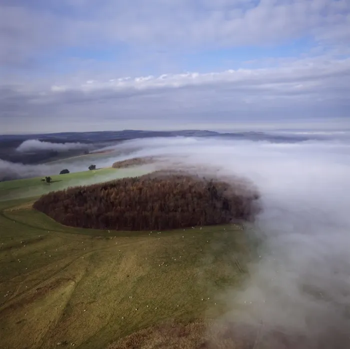 Framed Print : Aerial image of Arundel Park near Arundel Castle, South Downs, West Sussex Framed Print : Aerial image of Arundel Park near Arundel Castle, South Downs, West Sussex