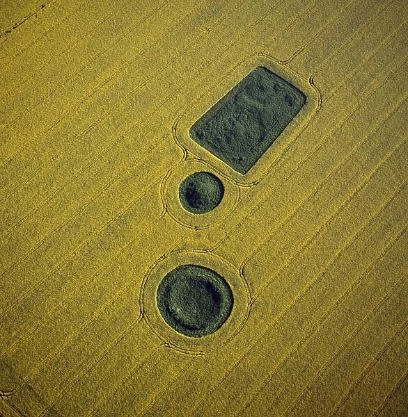 Aerial image of round and square Barrows at North Down in rape field, near Calstone Wellington