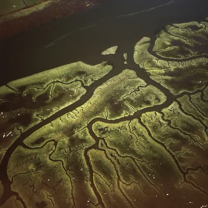 Framed Print : Aerial image of Salt Marsh on River Lune, Lancaster, Lancashire, England Framed Print : Aerial image of Salt Marsh on River Lune, Lancaster, Lancashire, England
