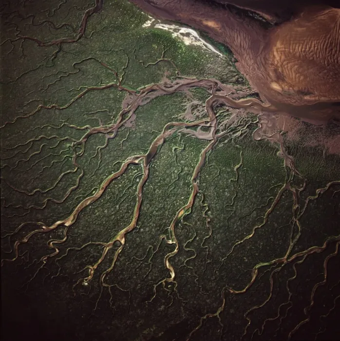 Framed Print : Aerial image of salt marsh at Tibby Head, Blakeney Point, Norfolk, England Framed Print : Aerial image of salt marsh at Tibby Head, Blakeney Point, Norfolk, England