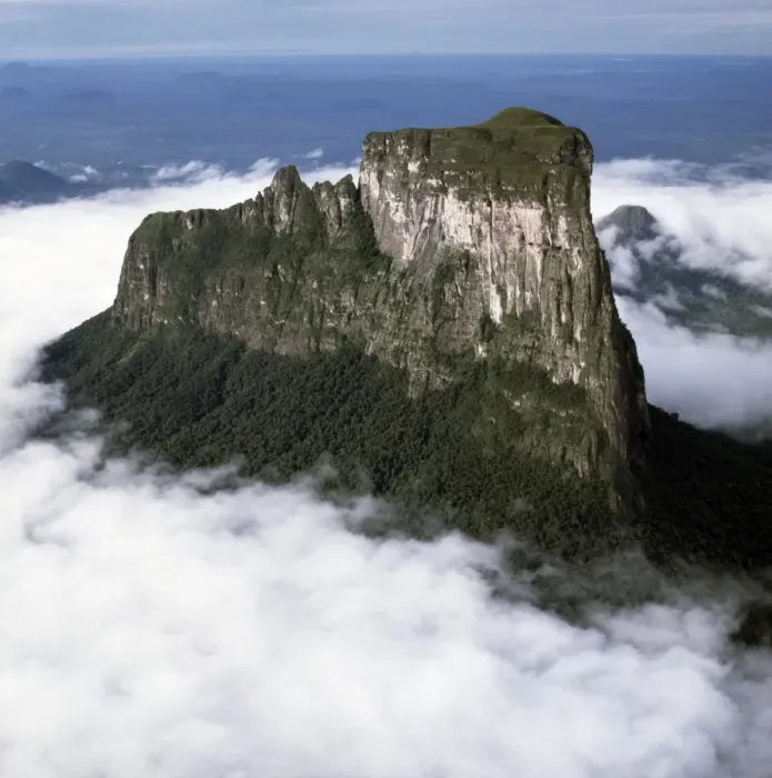Framed Print : Aerial image of tepuis showing Mount Autana (Cerro Autana), Amazonas territory Framed Print : Aerial image of tepuis showing Mount Autana (Cerro Autana), Amazonas territory