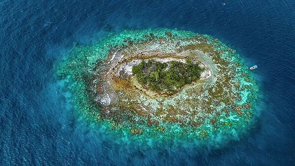 Aerial of little islet filled with birds in the lagoon of Fakarava, Tuamotu archipelago, French Polynesia, South Pacific, Pacific