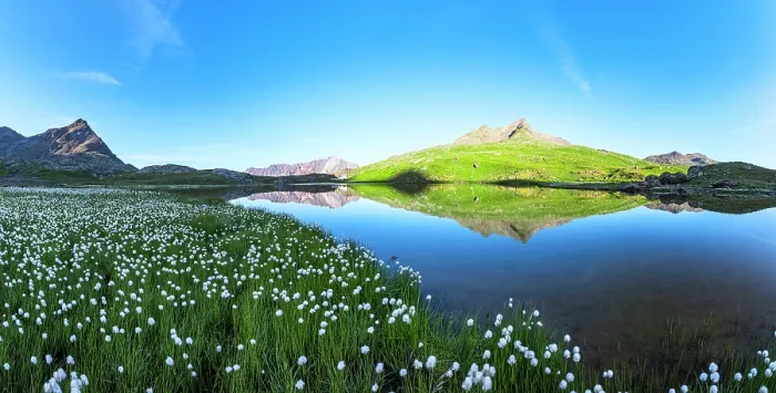 Framed Print : Aerial panoramic of cotton grass in bloom on shores of pristine Lago Bianco lake, Gavia Pass, Valfurva, Valtellina, Lombardy, Italy