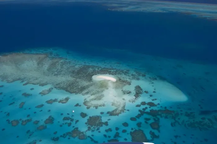 Framed Print : Aerial photography of coral reef formations of the Great Barrier Reef, UNESCO World Heritage Site, near Cairns, North Queensland, Australia, Pacific Framed Print : Aerial photography of coral reef formations of the Great Barrier Reef, UNESCO World Heritage Site, near Cairns, North Queensland, Australia, Pacific