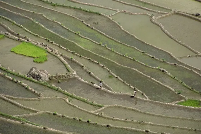 Framed Print : Aerial of the rice terraces around the village of Batad Framed Print : Aerial of the rice terraces around the village of Batad