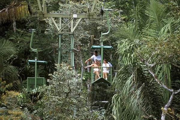 Aerial tramway on forest canopy