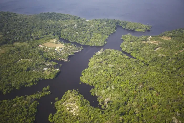 Framed Print : Aerial view of Amazon rainforest and Rio Negro, Manaus, Amazonas, Brazil, South America Framed Print : Aerial view of Amazon rainforest and Rio Negro, Manaus, Amazonas, Brazil, South America