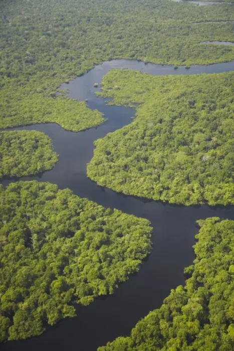 Framed Print : Aerial view of Amazon rainforest and tributary of the Rio Negro, Manaus, Amazonas, Brazil, South America Framed Print : Aerial view of Amazon rainforest and tributary of the Rio Negro, Manaus, Amazonas, Brazil, South America