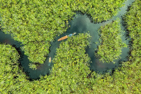 Aerial view of boat crossing through the deep jungle, Yanomami tribe, southern Venezuela, South America