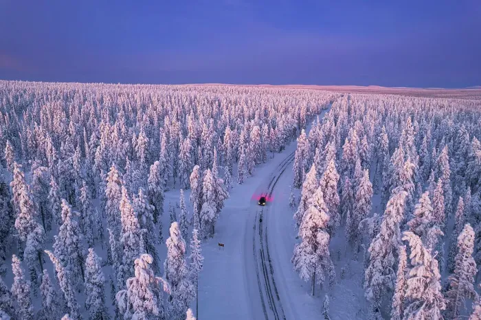 Framed Print : Aerial view of a car driving through the winter forest covered from snow at dawn, Akaslompolo, Kolari, Pallas-Yllastunturi National Park, Lapland region, Finland, Europe Framed Print : Aerial view of a car driving through the winter forest covered from snow at dawn, Akaslompolo, Kolari, Pallas-Yllastunturi National Park, Lapland region, Finland, Europe