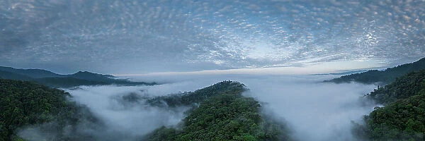 Aerial view of The Cloudforest, Mashpi, Reserva Mashpi Amagusa, Pichincha, Ecuador, South America