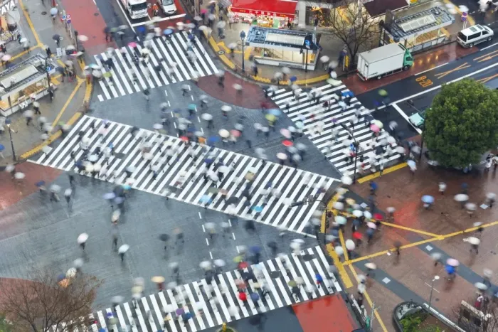 Framed Print : Aerial view of crowds crossing the famous Shibuya Crossing crosswalks at the centre of Shibuyas fashionable shopping and entertainment district, Shibuya, Tokyo Framed Print : Aerial view of crowds crossing the famous Shibuya Crossing crosswalks at the centre of Shibuyas fashionable shopping and entertainment district, Shibuya, Tokyo