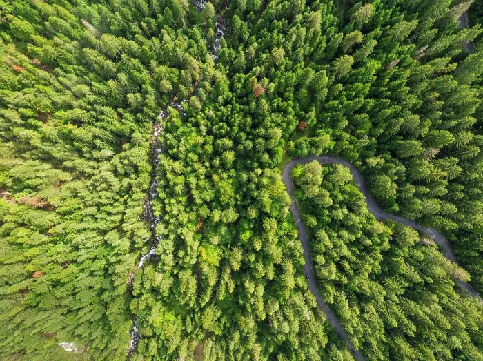 Framed Print : Aerial view of forest near Bansko, Pirin National Park, UNESCO World Heritage Site, Bulgaria, Europe Framed Print : Aerial view of forest near Bansko, Pirin National Park, UNESCO World Heritage Site, Bulgaria, Europe