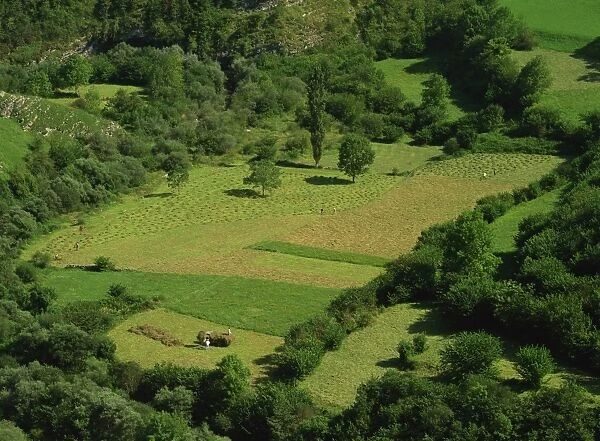 Aerial view of haymaking in fields near Potes in the