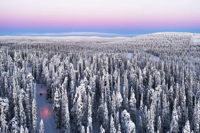 Framed Print : Aerial view of two hikers walking in the snowcapped forest at dawn, Iso-Syote, Lapland, Finland, Europe Framed Print : Aerial view of two hikers walking in the snowcapped forest at dawn, Iso-Syote, Lapland, Finland, Europe