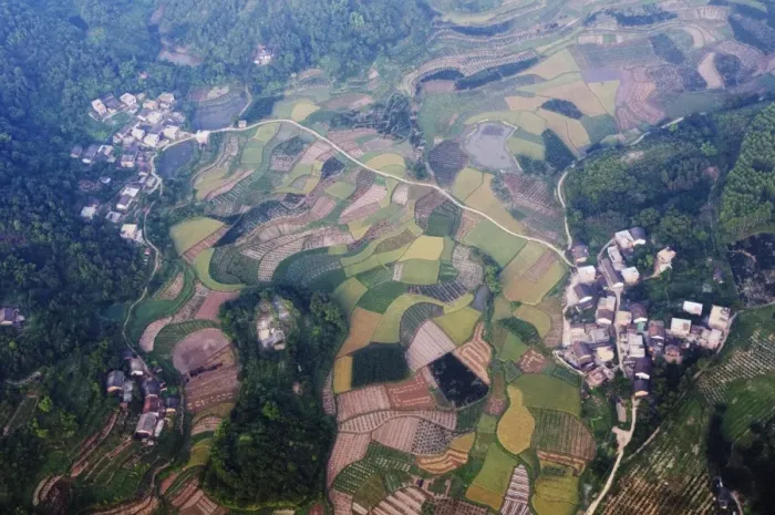 Framed Print : Aerial view from a hot air balloon of rice fields and villages in Yangshuo Framed Print : Aerial view from a hot air balloon of rice fields and villages in Yangshuo