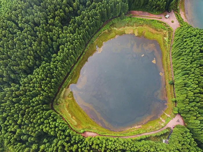 Framed Print : Aerial view of Lagoa Empadadas lake and some pine trees, Sao Miguel island, Azores islands, Portugal, Atlantic, Europe Framed Print : Aerial view of Lagoa Empadadas lake and some pine trees, Sao Miguel island, Azores islands, Portugal, Atlantic, Europe