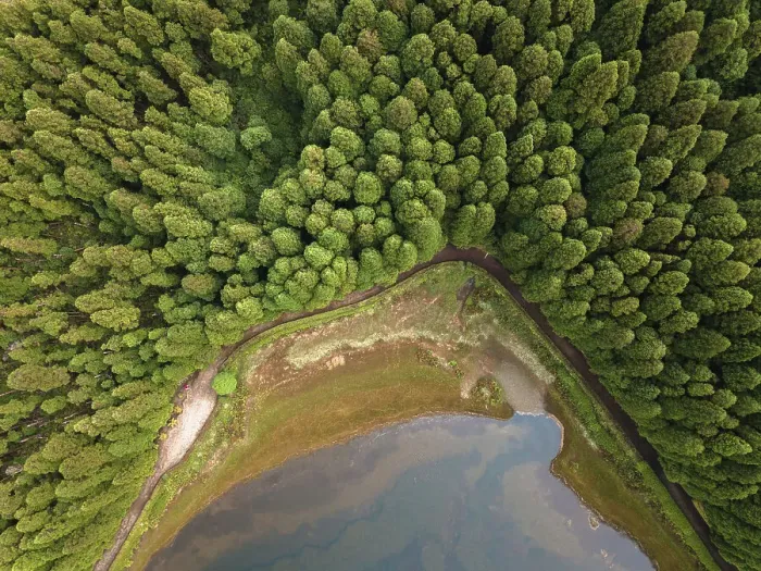 Framed Print : Aerial view of Lagoa Empadadas lake and some pine trees, Sao Miguel island, Azores islands, Portugal, Atlantic, Europe