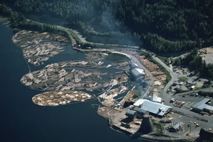Framed Print : Aerial view of logs in the river beside a saw mill in British Columbia Framed Print : Aerial view of logs in the river beside a saw mill in British Columbia
