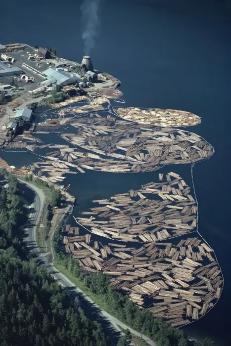 Framed Print : Aerial view of logs in the river beside a saw mill in British Columbia Framed Print : Aerial view of logs in the river beside a saw mill in British Columbia