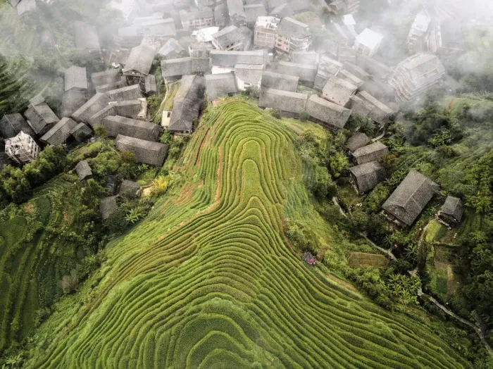 Framed Print : Aerial view on Longsheng rice terraces, also knows as dragon Framed Print : Aerial view on Longsheng rice terraces, also knows as dragon