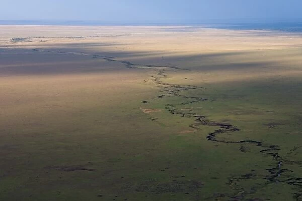 Aerial view, Masai Mara, Kenya, East Africa, Africa