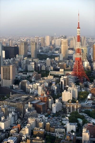 Aerial view of metropolitan Tokyo and Tokyo Tower from atop the Mori Tower at Roppongi Hills