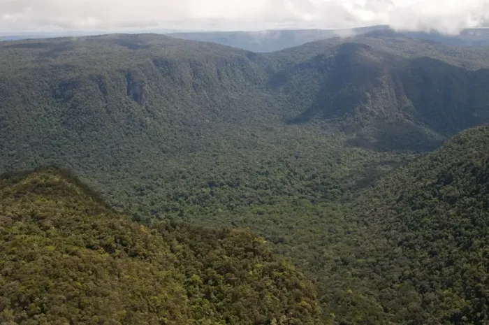 Framed Print : Aerial view of mountainous rainforest in Guyana, South America Framed Print : Aerial view of mountainous rainforest in Guyana, South America
