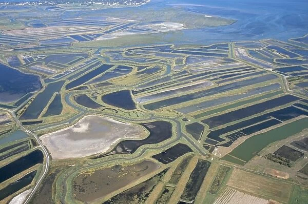Aerial view of mud flats and salt marshes, Ile de Re, Charente Maritime, France, Europe