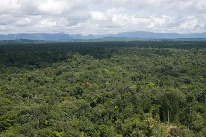 Framed Print : Aerial view over the rainforest of Guyana, South America Framed Print : Aerial view over the rainforest of Guyana, South America