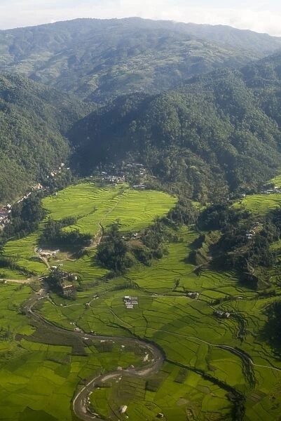 Aerial view of rice fields at base of mountains