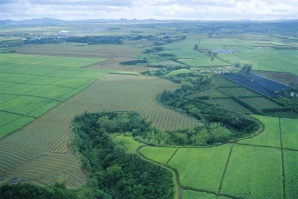 Aerial view of sugar cane fields and winding river